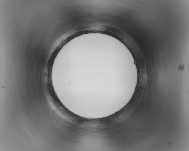 X0000112140726200909181358