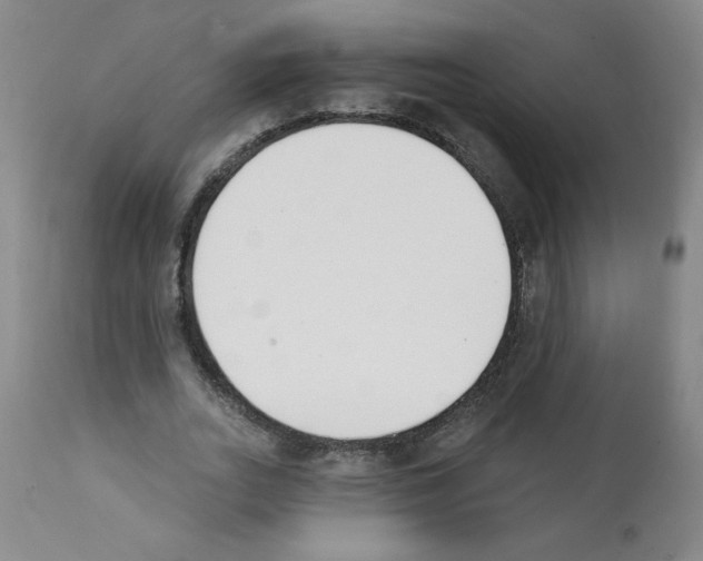 X0000112140727200909181358