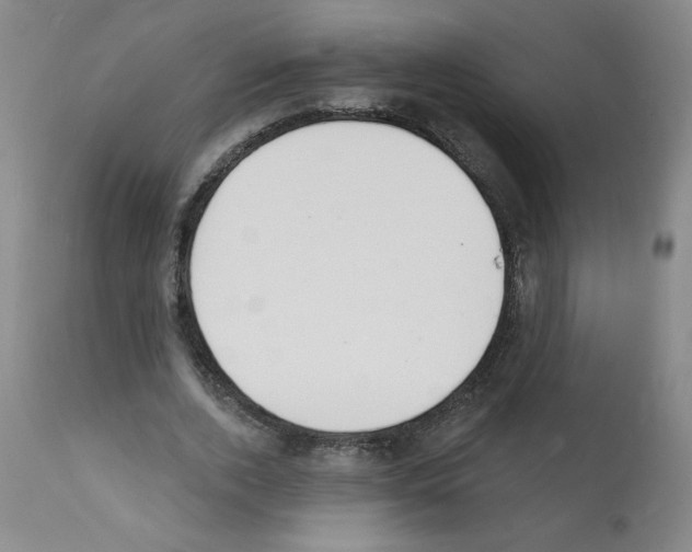 X0000112140728200909181358