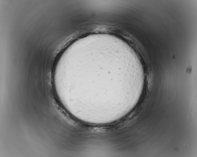 X0000112140729200909181358