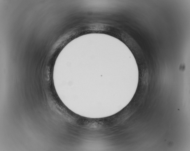 X0000112140731200909181358