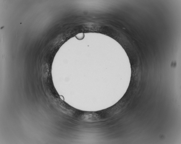 X0000112140752200909181358