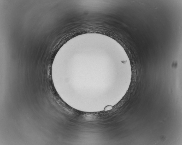 X0000112140756200909181358