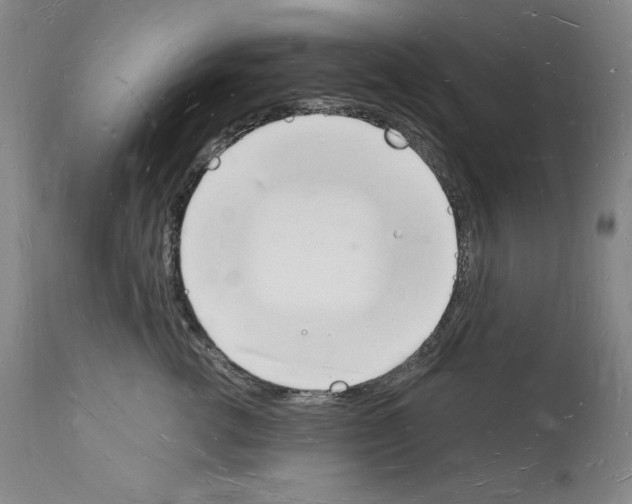 X0000112140762200909181358