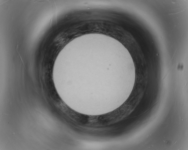 X0000112140766200909181358