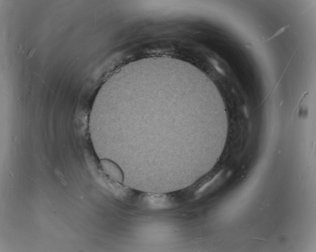 X0000112140767200909181358