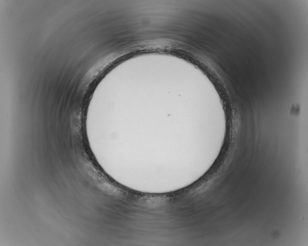 X0000112140778200909181357