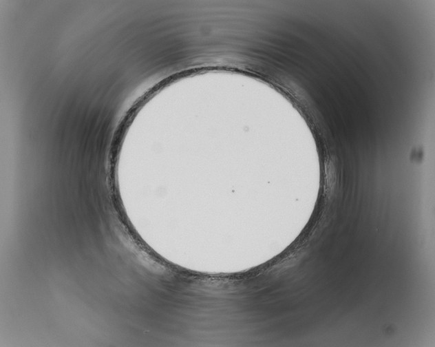 X0000112140780200909181357