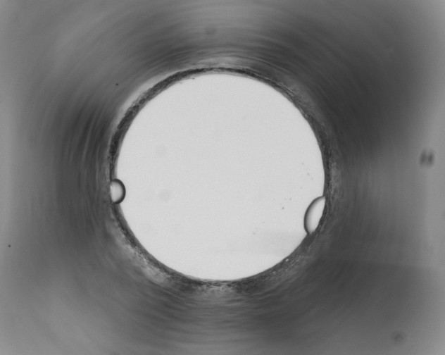 X0000112140784200909181357