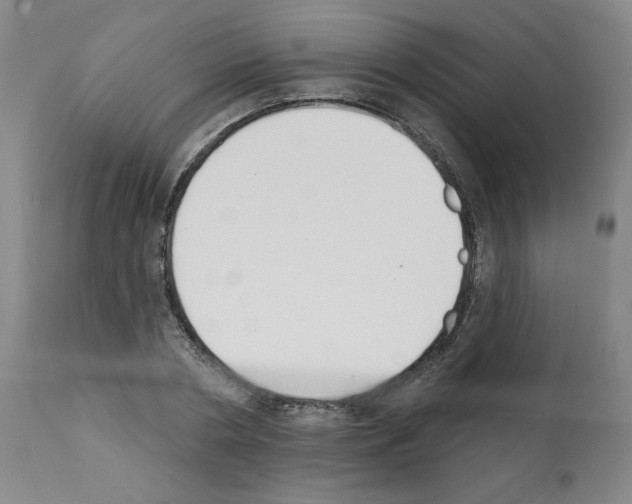 X0000112140786200909181357