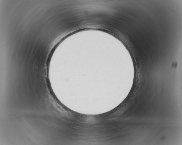 X0000112140787200909181357