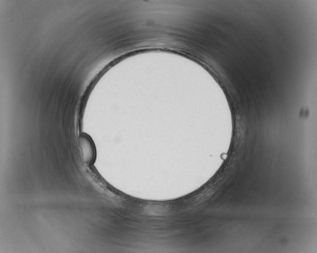 X0000112140788200909181357