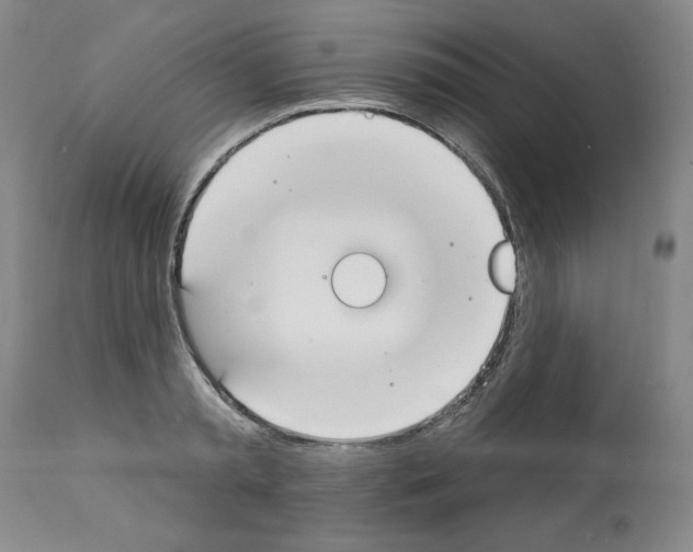 X0000112140797200909181357