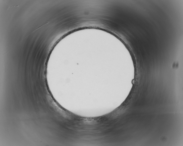 X0000112140799200909181357