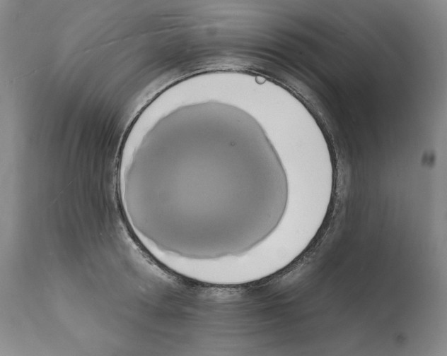 X0000112140802200909181357