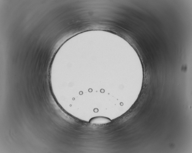 X0000112140803200909181357