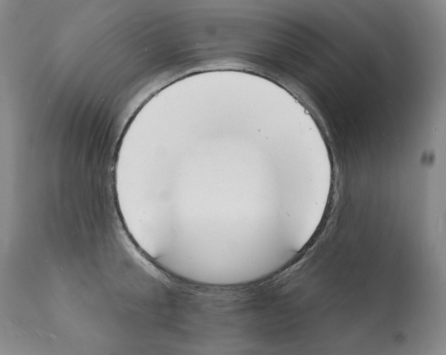 X0000112140805200909181357