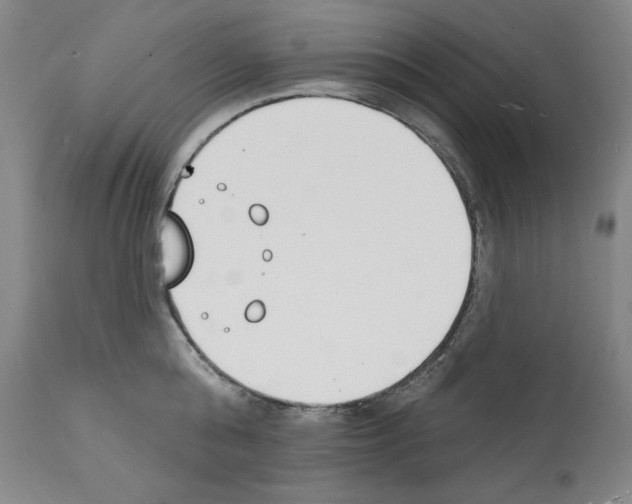 X0000112140808200909181357