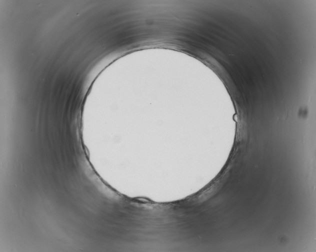 X0000112140812200909181357