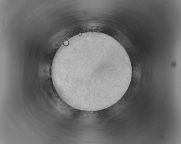 X0000112140820200909181356