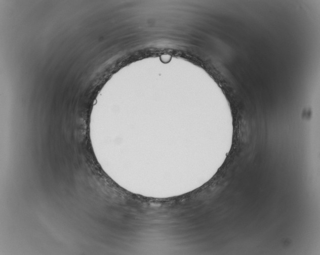 X0000112140821200909181356