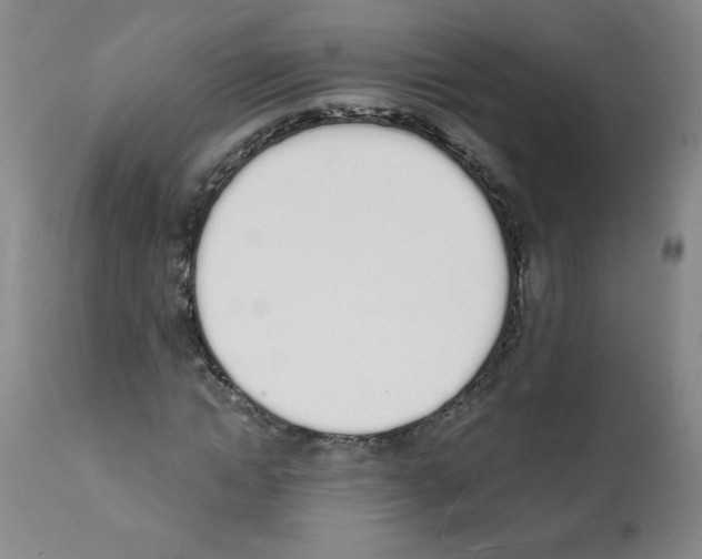 X0000112140822200909181356