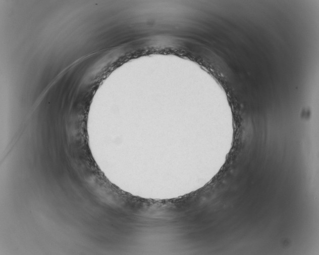 X0000112140824200909181356