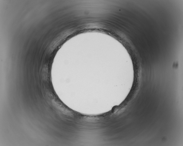 X0000112140825200909181356