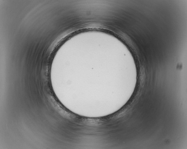 X0000112140831200909181356