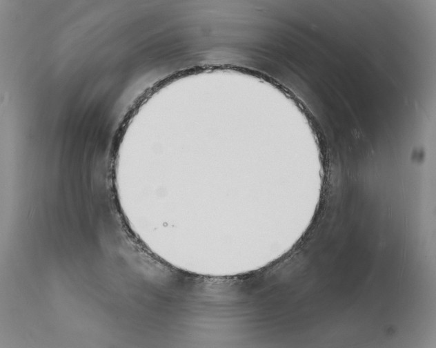 X0000112140832200909181356