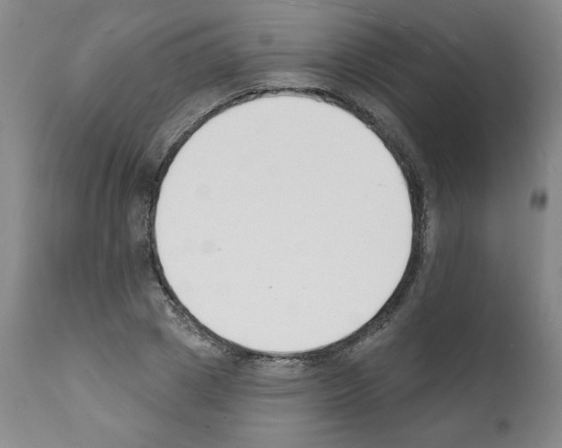 X0000112140833200909181356