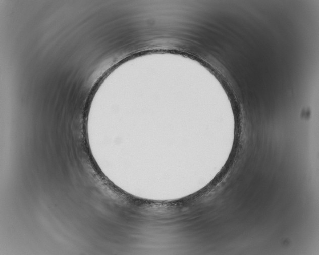 X0000112140834200909181356