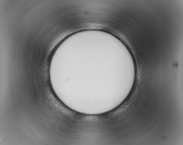 X0000112140835200909181356