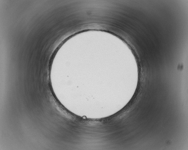 X0000112140837200909181356