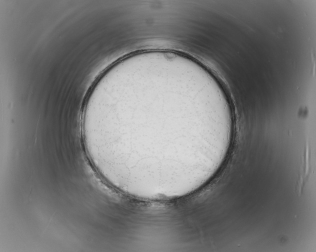 X0000112140839200909181356