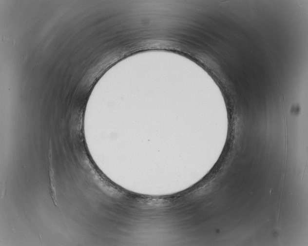 X0000112140841200909181357