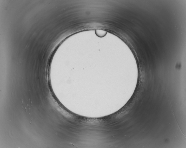 X0000112140843200909181357