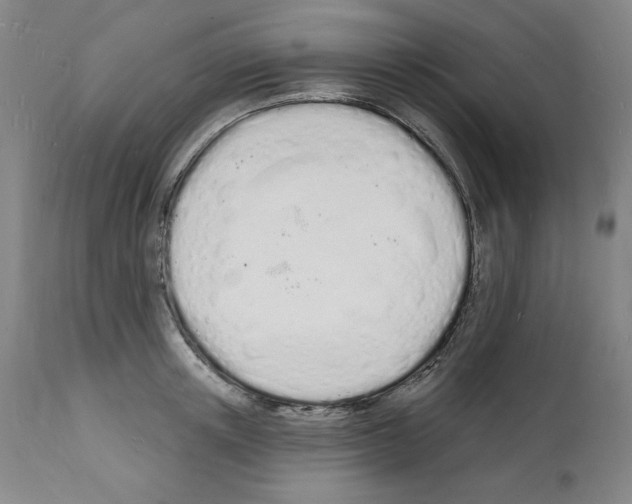 X0000112140851200909181357