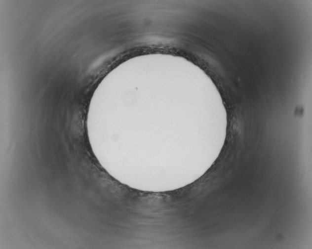 X0000112140869200909181356