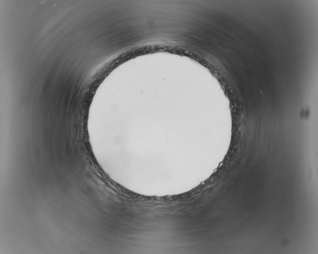 X0000112140872200909181356