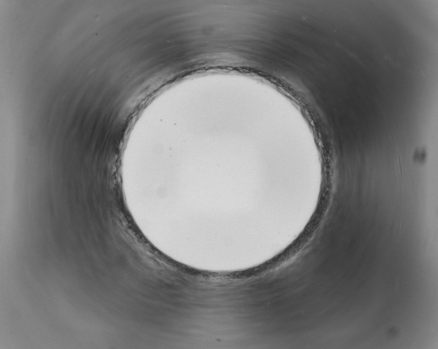 X0000112140873200909181356