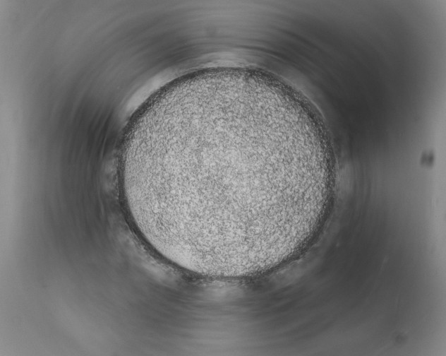 X0000112140874200909181356