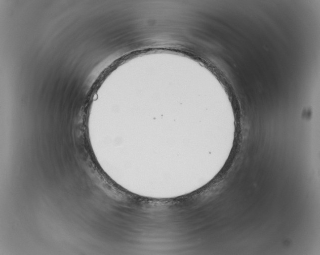 X0000112140875200909181356