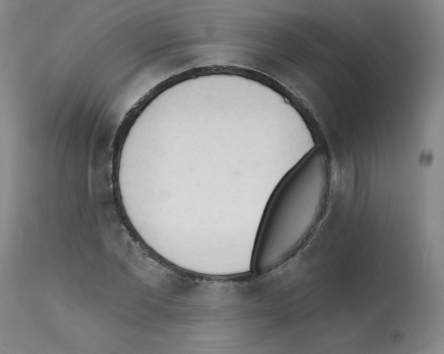 X0000112140877200909181356