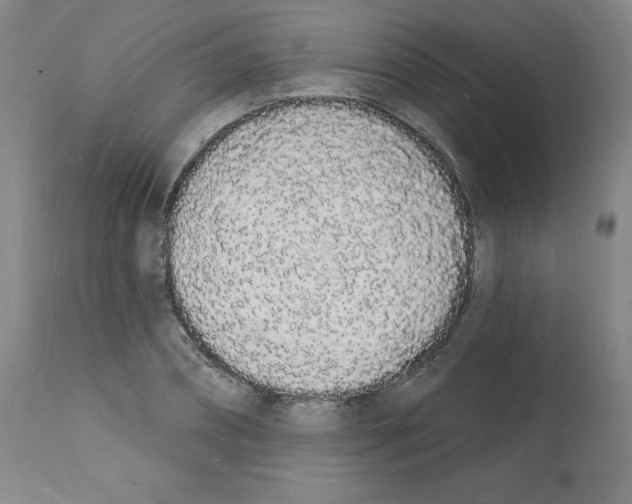 X0000112140882200909181356