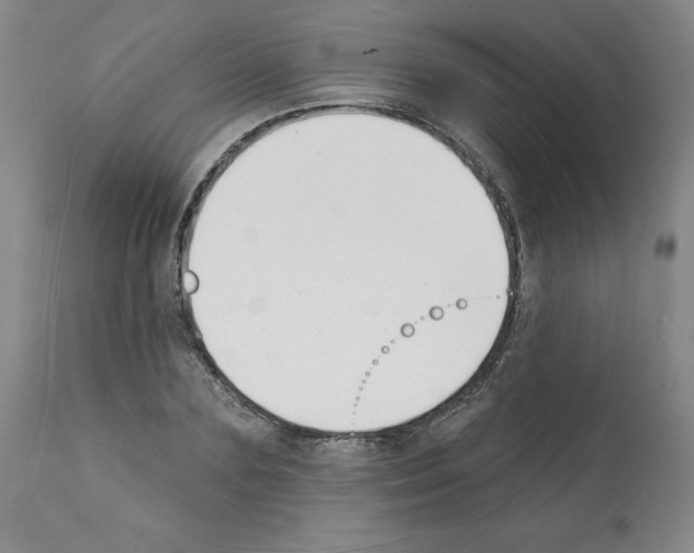 X0000112140883200909181356