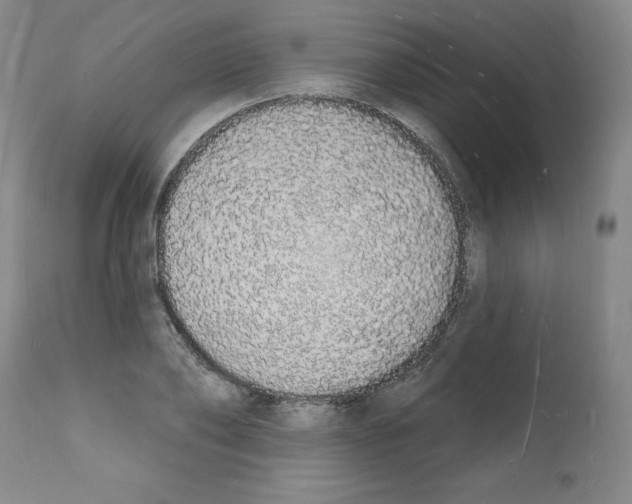 X0000112140886200909181356