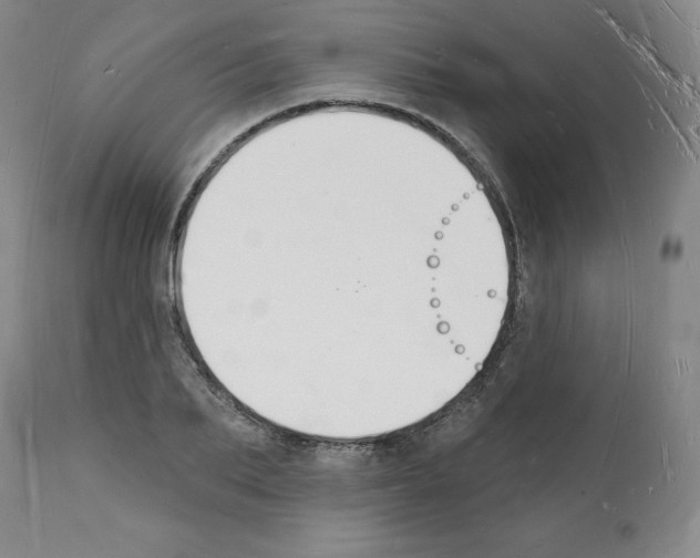 X0000112140887200909181356