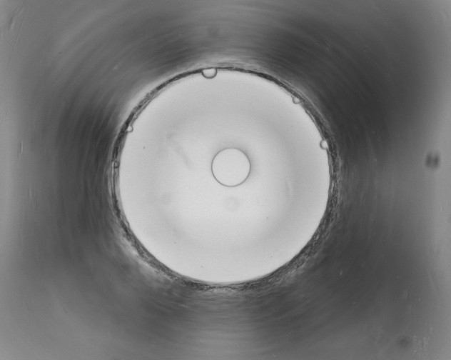 X0000112140888200909181356