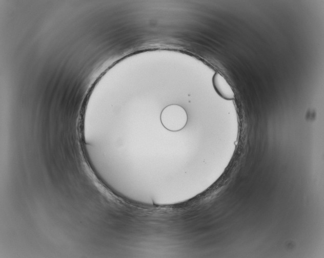 X0000112140893200909181355